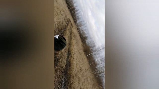 ПРЯТКИ ПО ЛЕСУ 2х2 Долгожданный Ролик! смотреть онлайн