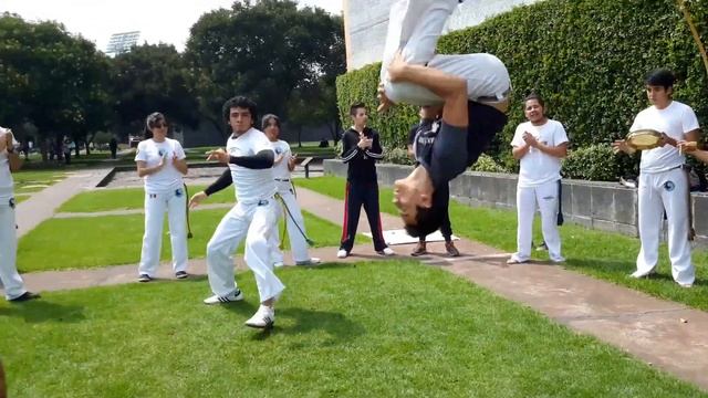 Capoeira en la UNAM смотреть онлайн