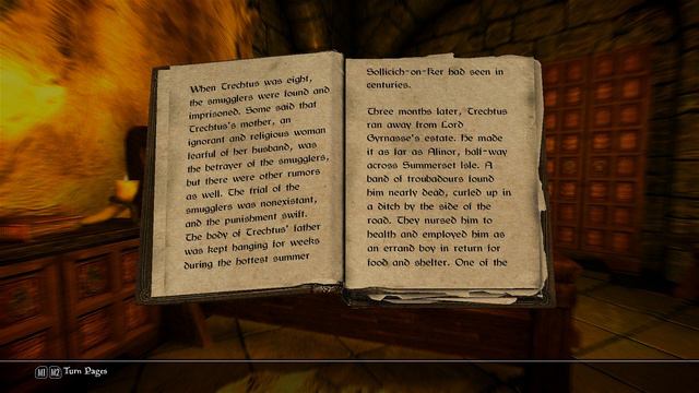 Skyrim Roleplay - Part 117 - Reading 'Galerion the Mystic' смотреть онлайн