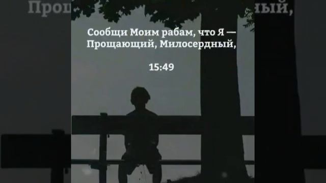 аятыкорана#аяты#коран#аллахвелик#карсивоечтение#суры#сура#оят#куръон#sura#oyat#qur'on#surah# смотреть онлайн
