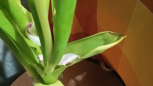Планирование работы и распорядок дня в многодетной семье. Будний день за 10 минут. Тайм менеджмент. смотреть онлайн