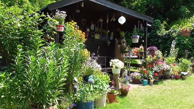 Чувство радости. Как правильно радоваться? Жанна Бронн 21-лекция смотреть онлайн