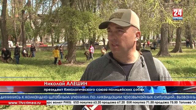 «Четвероногие полицейские» смотреть онлайн