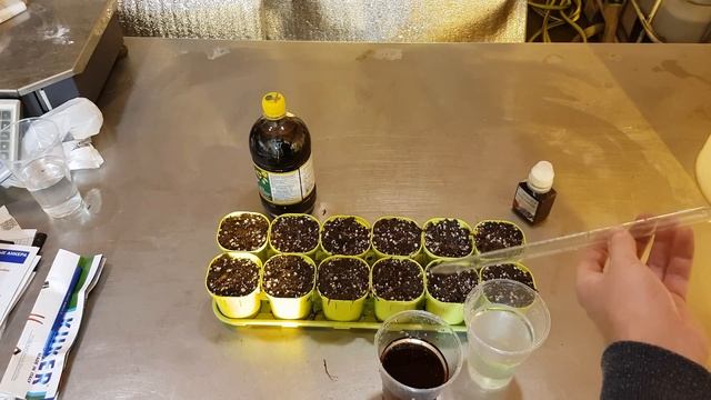 // БИОГУМУС ИЛИ КУЛЬТИМАР // ДНАТ ИЛИ СВЕТОДИОДЫ // смотреть онлайн