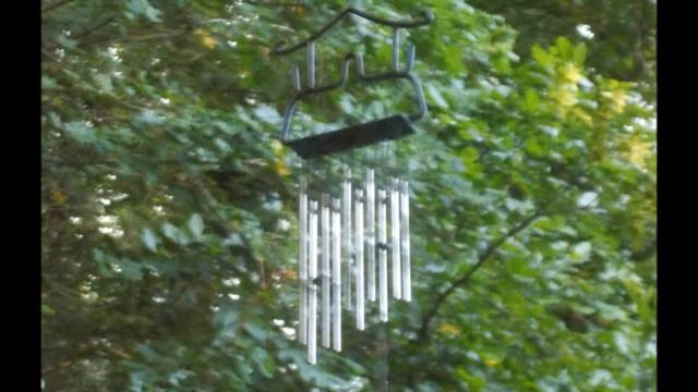 Homogen Session 15 11 2005 смотреть онлайн