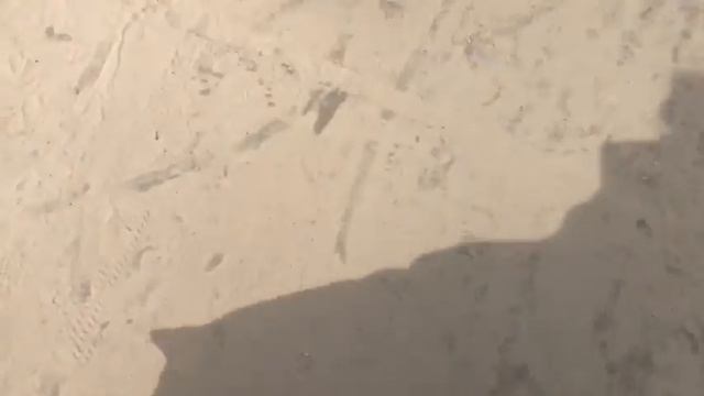 Почему нас выгнали с пляжа в ЮРМАЛЕ? смотреть онлайн