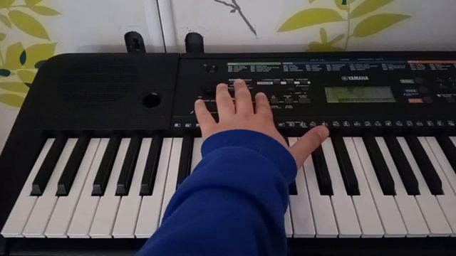 House , Yamaha PSR E 253 смотреть онлайн