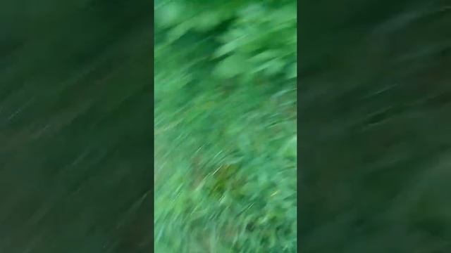 погода в макеевке смотреть онлайн