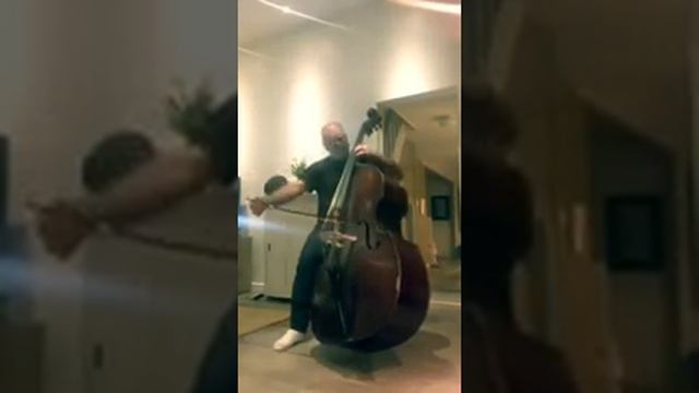J.S Bach "Arioso" performed on doublebass. смотреть онлайн