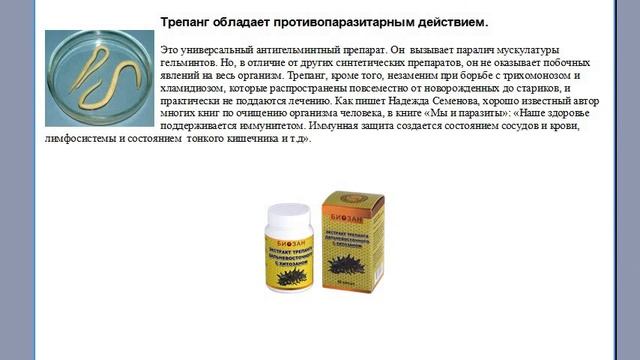 Трепанг при хронических заболеваниях  Отзывы и результаты