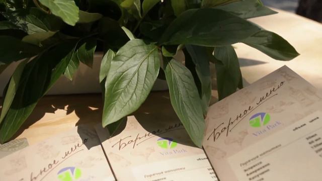 Эко-отель «Vital Park» в Коблево смотреть онлайн