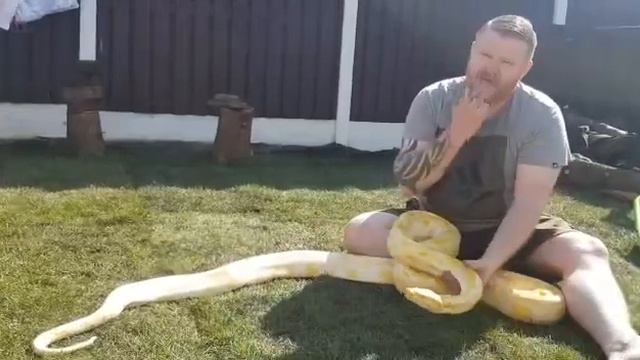 Burmese python Home education смотреть онлайн