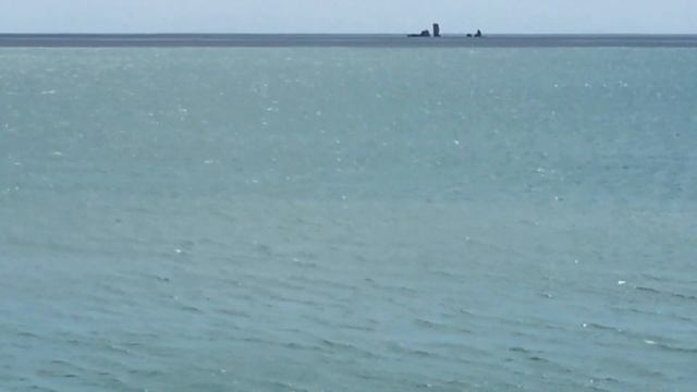 Плаваем, рвем мидии, в далике проплывает дельфин смотреть онлайн