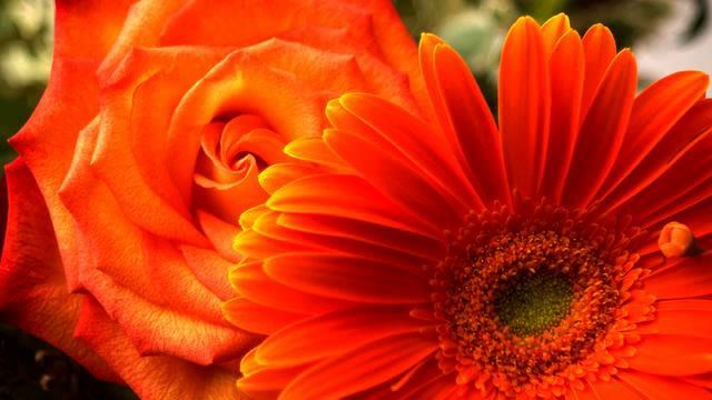 Волшебные русские песни для сна 2015