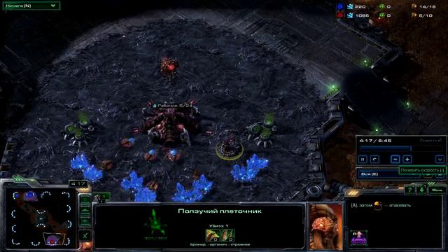 StarCraft 2 ZvZ быстрый бой за зергов, quick battle for zerg смотреть онлайн