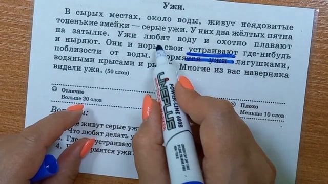 9. Грамматическая основа смотреть онлайн