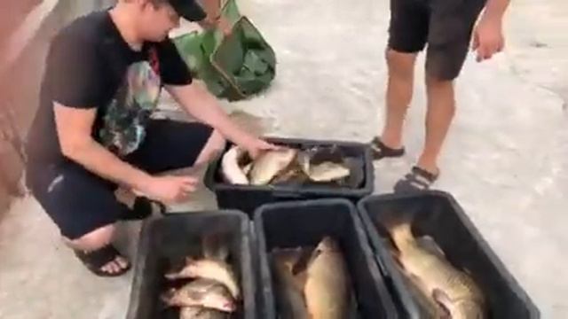 4 июля 2021 г. смотреть онлайн