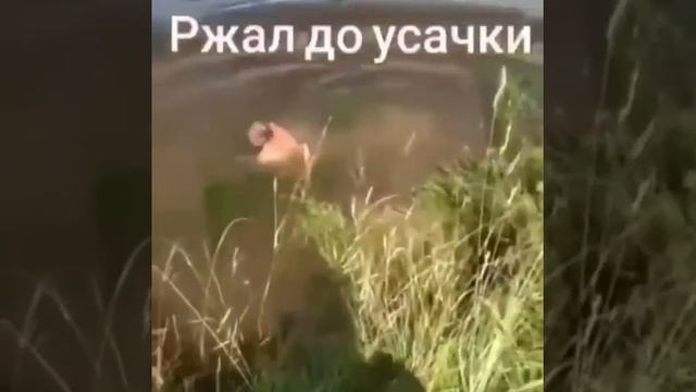 Ту ту на Воркуту?