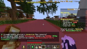 Как перевести деньги игроку на сервере в майнкрафте