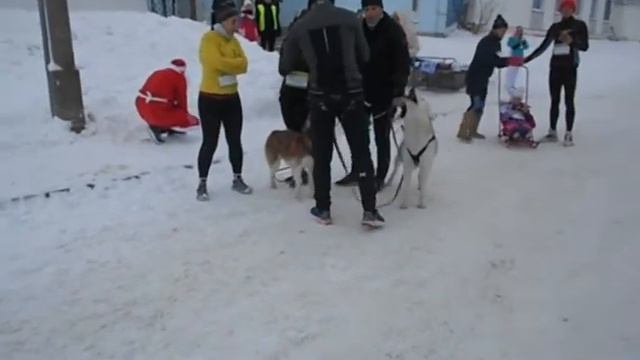 1 января 22 год. Забег смотреть онлайн