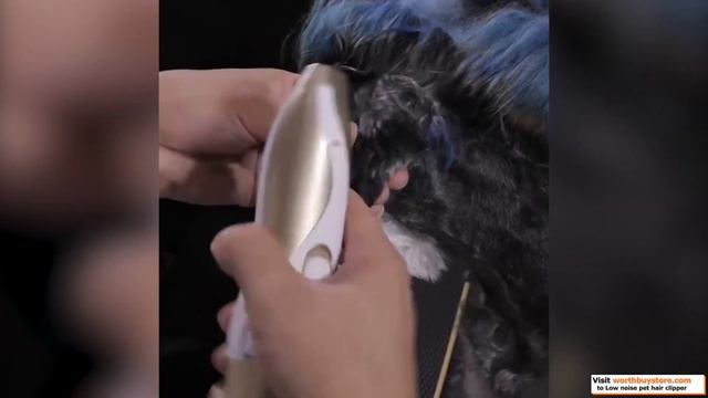 Best Dog Hair Trimmers Review 2020 —— Does It Work？