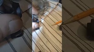 колпачок катушки зажигания от скутера.