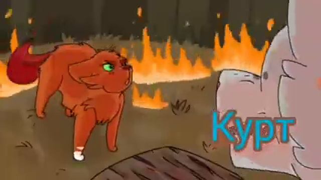 КОТЫ-ВОИТЕЛИ КЛИП ЗАКАЗ УГОЛЁК И КОРШУН смотреть онлайн