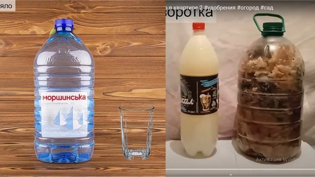 Отходы в доходы! Мини компостер в квартире 2 #огород #сад #чудо смотреть онлайн