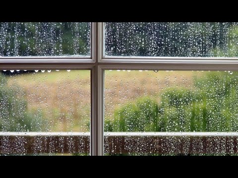 30 минут дождь и звуки грома _ учись со мной _ учись со звуками дождя смотреть онлайн