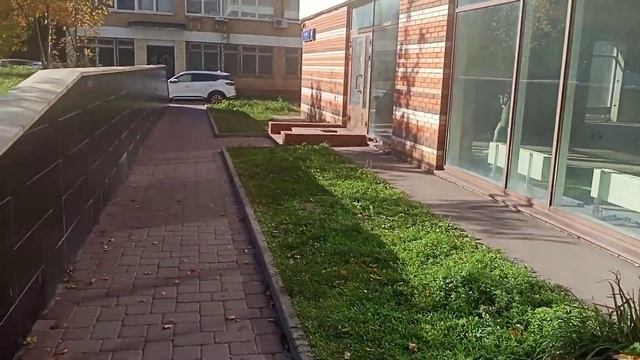 Чистова 16.корп 3 смотреть онлайн