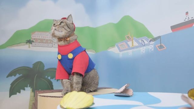 Sunshine in Cat Mario World | Super Mario Cat Rescue Princess Peach смотреть онлайн