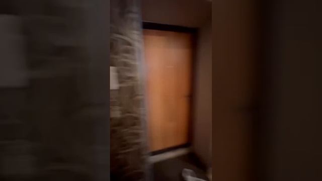 ☘️ Двушка с видом на лес в Воронеже. Антонова Овсеенко 35в #shortsvideo #воронеж #советникъ