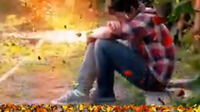 love. Is sweet poison. Viral. Vimu смотреть онлайн