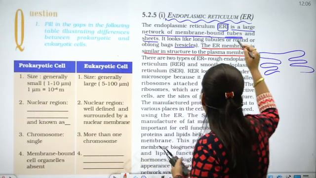 🌏 NCERT GALLERY | THE CELL ( कोशिका ) PART -2 - BIOLOGY | DIVYA MA'AM | SSC , UPSC , DSSSB ETC. смотреть онлайн