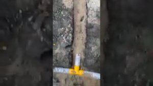 Дренажная труба для водоотведения со всего двора.