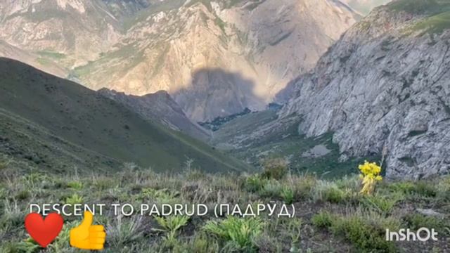 ҳафт кул 2022 дустон Лайкро фаромуш накунед 👍👈 смотреть онлайн