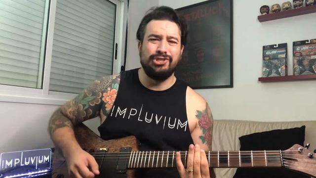 IMPLUVIUM: Flower Street (Tales Ribeiro Guitar Playthrough) смотреть онлайн