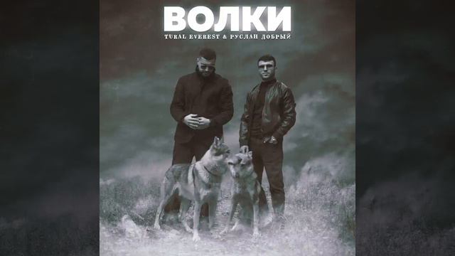ДОБРЫЙ & EVEREST - Волки🐺 | Волки мы в ночных лесах✨🥀 Новая песня 2021, эту песню ищут все смотреть онлайн