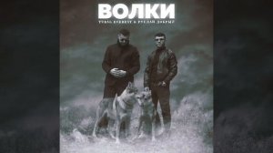 ДОБРЫЙ & EVEREST - Волки🐺 | Волки мы в ночных лесах✨🥀 Новая песня 2021, эту песню ищут все