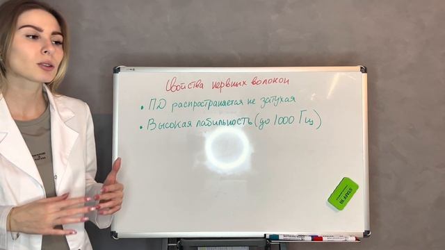 Физиология возбудимых тканей 2|Проведение возбуждения|Нервные волокна|Синапсы и медиаторы смотреть онлайн