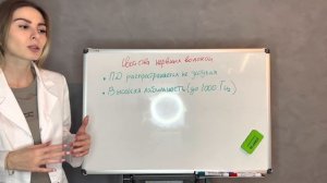 Физиология возбудимых тканей 2|Проведение возбуждения|Нервные волокна|Синапсы и медиаторы