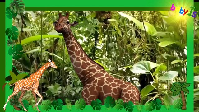 ЖИВОТНЫЕ АФРИКИ ВИДЕО ЗВУКИ / ЖИВОТНЫЕ ДЛЯ ДЕТЕЙ / WILD ANIMALS / TEACH ANIMALS / УЧИМ ЖИВОТНЫЕ смотреть онлайн