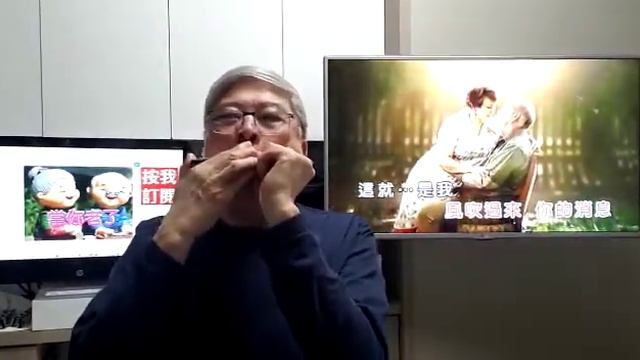 當你老了(口琴伴奏卡拉OK) Michael Gor смотреть онлайн