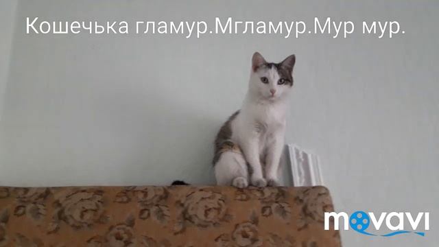 Я только проснулась,а ты с камерой. смотреть онлайн