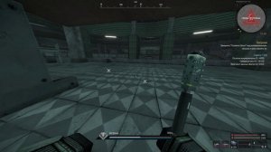 КАК УБИТЬ ЗИГФРИДА! STALCRAFT: X