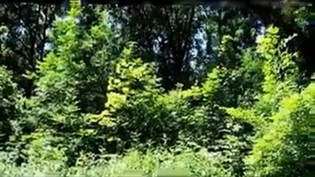 АЛЬТАНКА смотреть онлайн