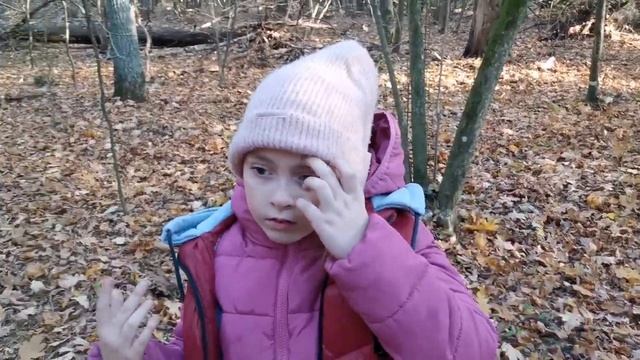В лесу пошли опята. Тихая охота. смотреть онлайн