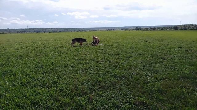 Псков - Смоленск - Брянск - Орел - Курск - Белгород 2 часть смотреть онлайн