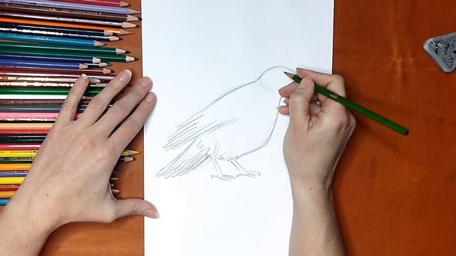 Как нарисовать ворону. Онлайн-школа рисования "Малевашки" смотреть онлайн