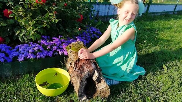 Five little speckled frogs / песенки на английском / English in summer смотреть онлайн